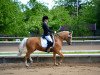 dressage horse Merrie 18 (German Riding Pony, 2008, from Mangold)