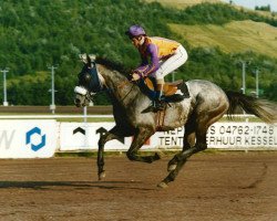 horse Albustan xx (Thoroughbred, 1985, from Caerleon xx)