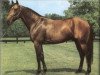 stallion Armbro Goal 967DL (US) (American Trotter, 1985, from Speedy Crown 9498H (US))