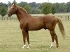 stallion Defi d'Aunou (FR) (French Trotter, 1991, from Armbro Goal 967DL (US))