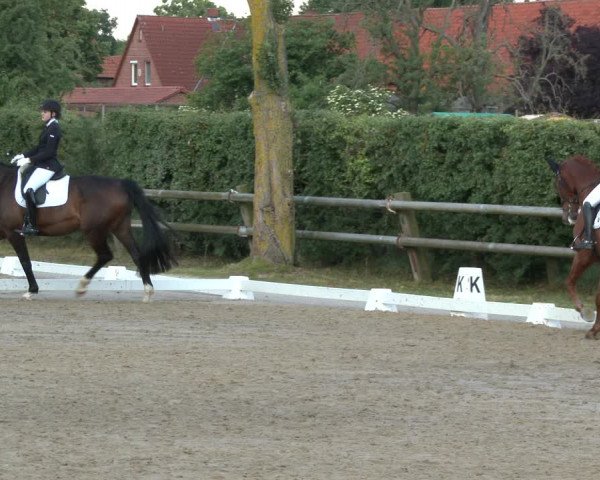Reitturnier Niedernstöcken 2020