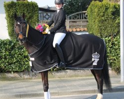 dressage horse Ruby La Belle (Rhinelander, 2008, from Rubitano)