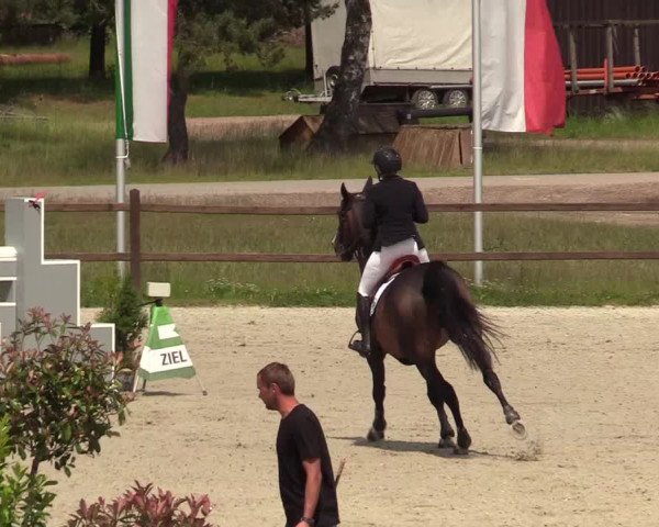 Reitturnier Westergellersen 2020