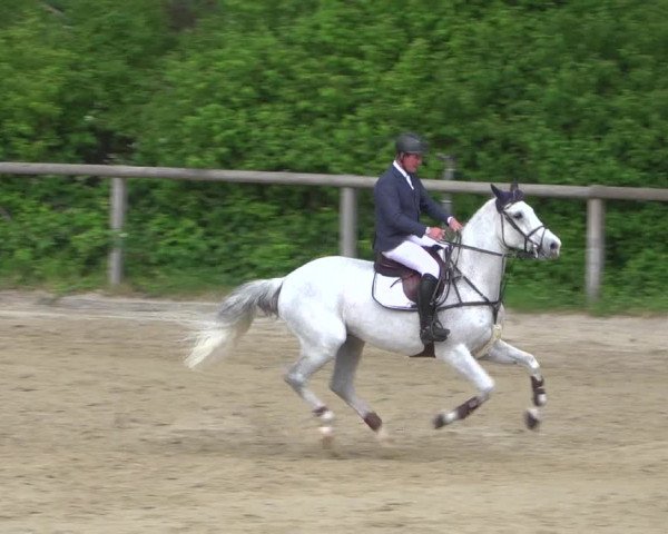 Reitturnier Erkrath - Uhlenhof 2020