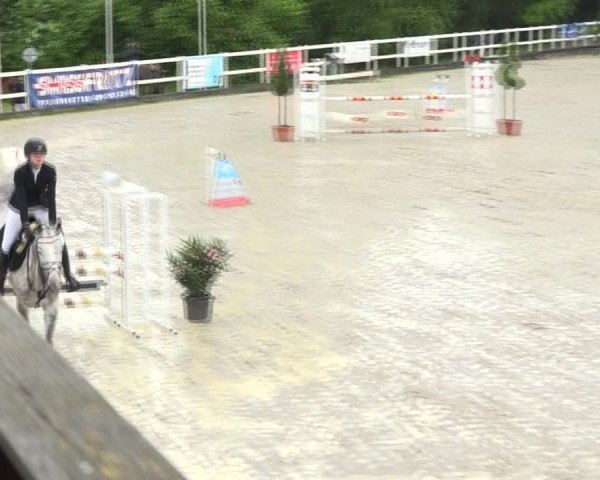 Reitturnier Aesch (Neftenbach) 2020