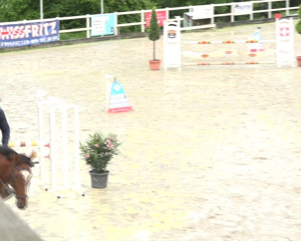 Reitturnier Aesch (Neftenbach) 2020