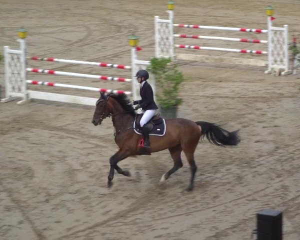 Reitturnier Erkrath - Uhlenhof 2020