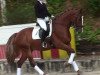 dressage horse Kairo HL (Rhinelander, 2007, from Kaiser Karl)