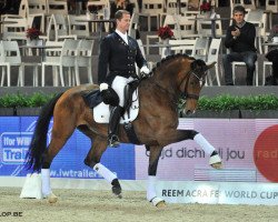 dressage horse Agneta 17 (Rhinelander, 2003, from Abanos)