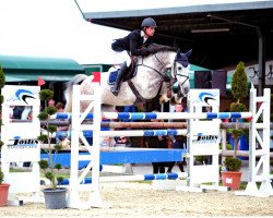 jumper Captain Cassone (Rheinländer, 2008, from Cassone)