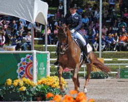 Pferd Aurora El Camino (Mexikanisches Reitpferd , 2005, von Prestige)