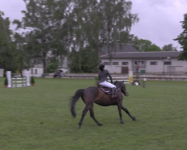 Reitturnier Altmittweida 2020