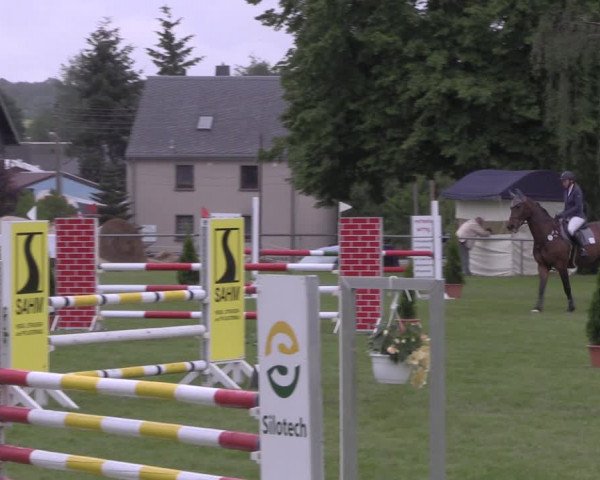 Reitturnier Altmittweida 2020