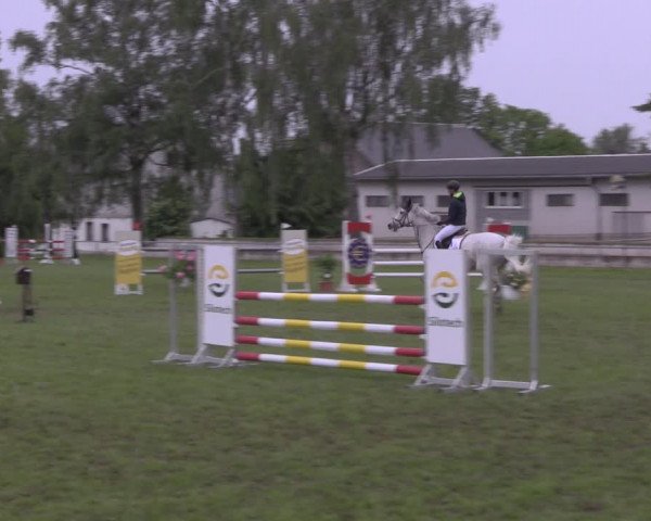 Reitturnier Altmittweida 2020
