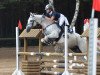 jumper Gaccina (German Warmblood, 2001)