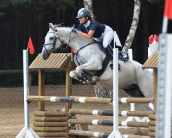 jumper Gaccina (German Warmblood, 2001)