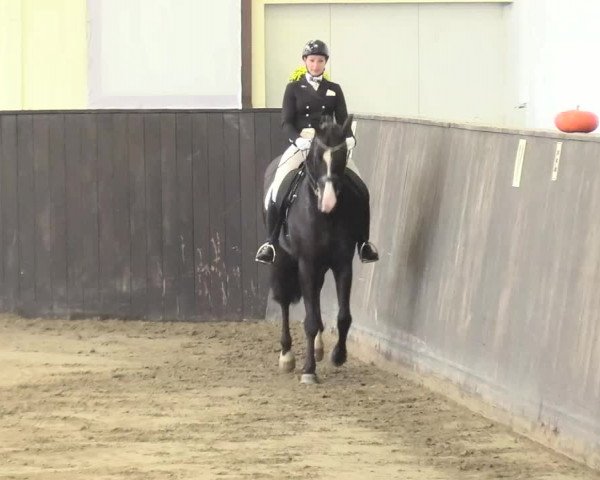 Reitturnier St. Peter Ording 2021