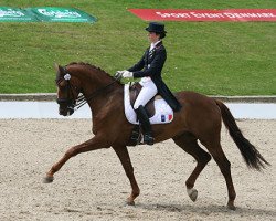 dressage horse Unique (KWPN (Royal Dutch Sporthorse), 2001, from Olivi)