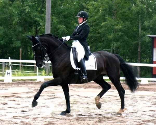 horse Special Edition (Swedish Warmblood, 1999, from Chapman)