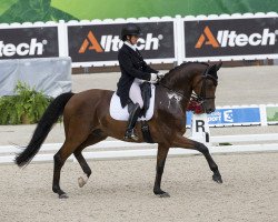 dressage horse Vancouver (KWPN (Royal Dutch Sporthorse), 2004, from L-Vainqueur)