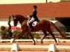 dressage horse Gk Dancing Rubies (Oldenburg, 2005, from Dressage Royal)