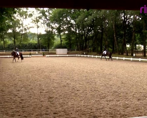 Reitturnier Heiden 2020
