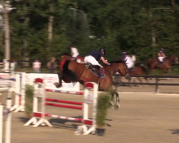 Dressur- und Springturnier Ochtrup 2021
