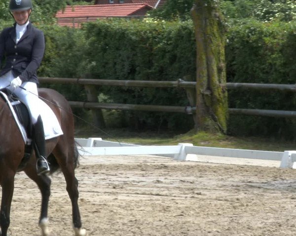 Reitturnier Niedernstöcken 2020