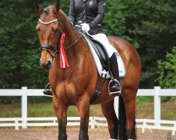 dressage horse Captain Connery (Hanoverian, 2003, from Connery)