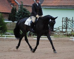 Dressurpferd Christofzik (Oldenburger, 2011, von Carenzo)