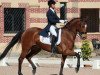 dressage horse Delhi (Spanish Sport Horse, 2003, from Tenor de la Cour)