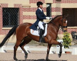 dressage horse Delhi (Spanish Sport Horse, 2003, from Tenor de la Cour)