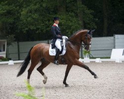 dressage horse Ziroco (KWPN (Royal Dutch Sporthorse), 2004, from San Remo)