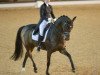 broodmare Vitana V (KWPN (Royal Dutch Sporthorse), 2002, from Donnerhall)