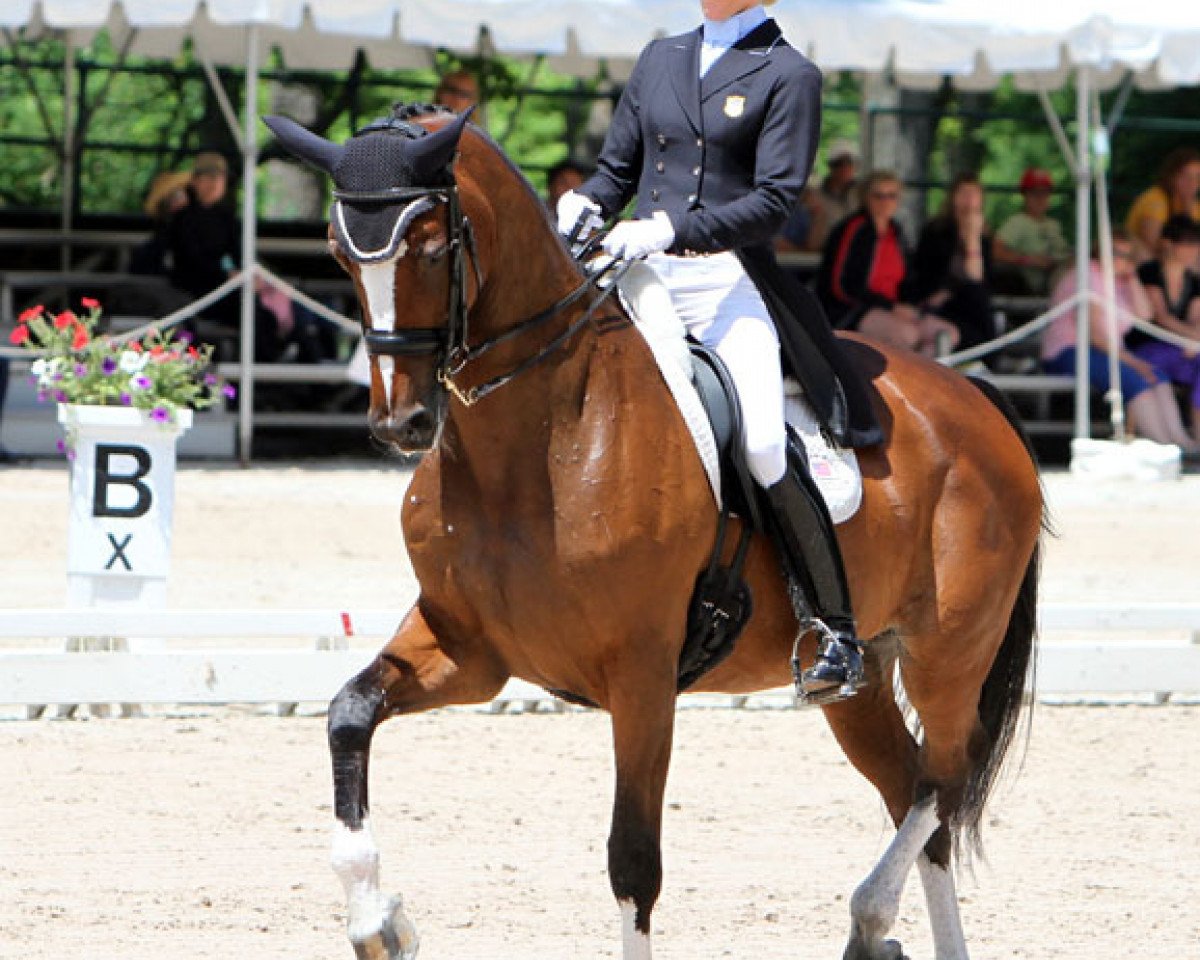 dressage horse Alina (Danish Warmblood, 1998, from Michellino)