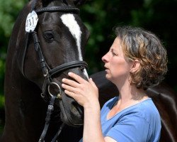 Zuchtstute RM Valentina (Deutsches Reitpony, 2008, von Valido's Highlight)