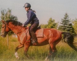 broodmare Farina (Westphalian, 1992, from Faschingsprinz)