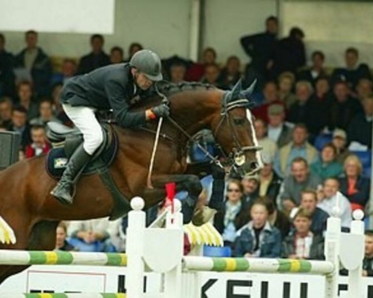 Deckhengst Let's Go-V (KWPN (Niederländisches Warmblut), 1993, von Voltaire)