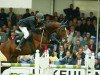 stallion Let's Go-V (KWPN (Royal Dutch Sporthorse), 1993, from Voltaire)