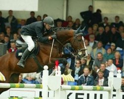 stallion Let's Go-V (KWPN (Royal Dutch Sporthorse), 1993, from Voltaire)