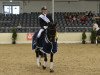 dressage horse Dancefloor (Hanoverian, 2007, from Damsey FRH)