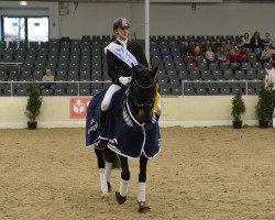 dressage horse Dancefloor (Hanoverian, 2007, from Damsey FRH)