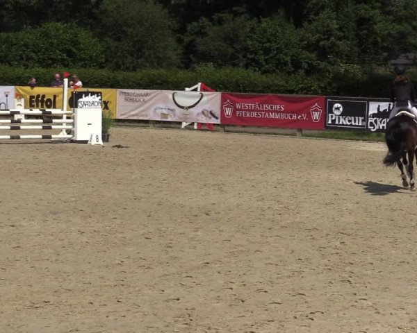 Reitturnier Münster-Handorf 2020