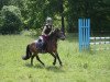 dressage horse Jim Knopf (Dartmoor Pony, 1999, from Wishfield Johnnie Walker)