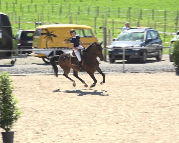 Reitturnier Galgenen 2020
