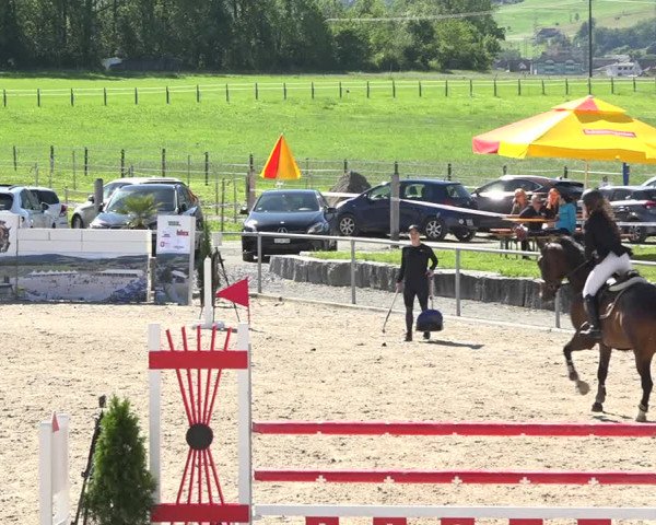 Reitturnier Galgenen 2020