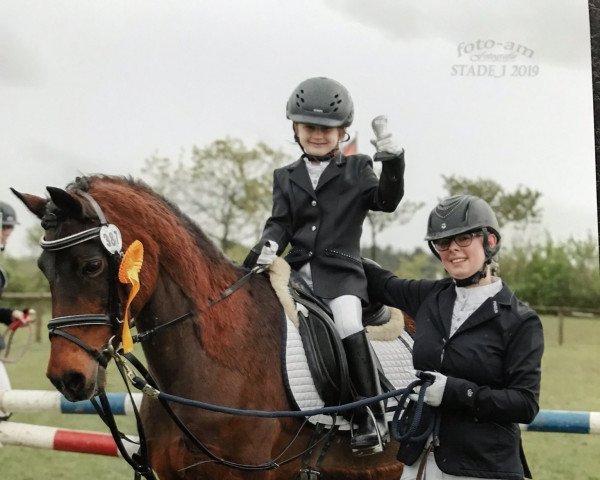 Zuchtstute Beauty 127 (Deutsches Reitpony, 1993, von Rosedale Falcon)