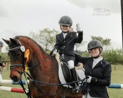 Dressurpferd Beauty 127 (Deutsches Reitpony, 1993, von Rosedale Falcon)