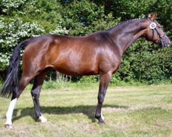 broodmare Extravaganza (Hanoverian, 2002, from Escudo I)