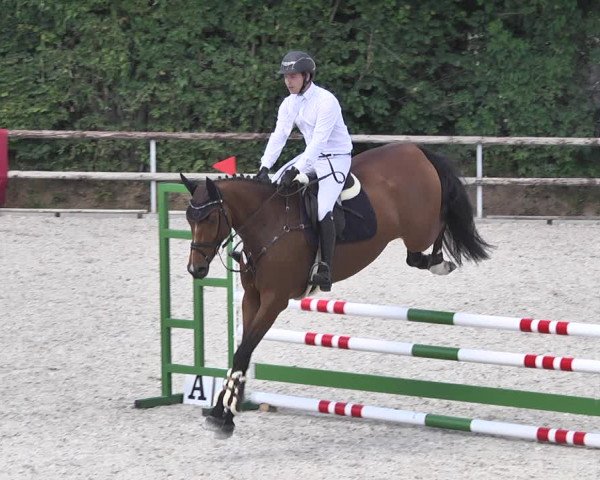 Reitturnier Worms-Pfeddersheim / Reitsportanlage Wittemer 2020
